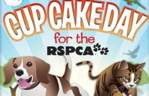 Cupcake Camp Sydney 2010