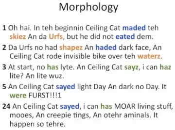 GOLD! The academic linguistics of LOLspeak