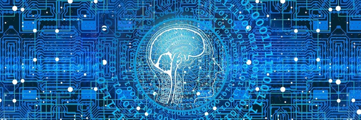 artificial intelligence, network, programming, web, brain, computer science, technology, printed circuit board, information,