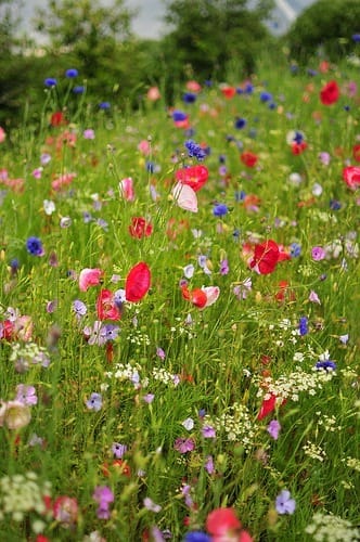 Lean times favour innovation